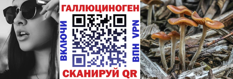 Галлюциногенные грибы GOLDEN TEACHER  Ковылкино 